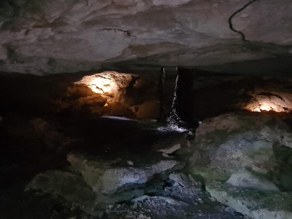 מלון טולום Zenote Sanctuary (Adults Only) מראה חיצוני תמונה